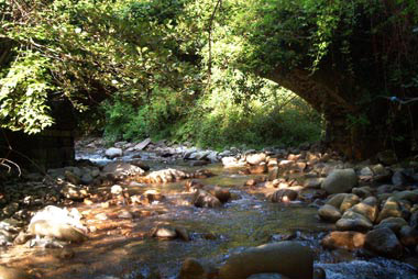 Il ponte visto da valle