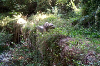 Il sentiero sul ponte