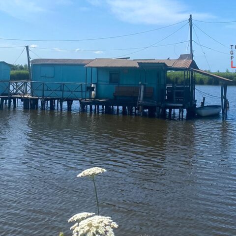 Ciclabile Lago di Massaciuccoli - Torre del Lago