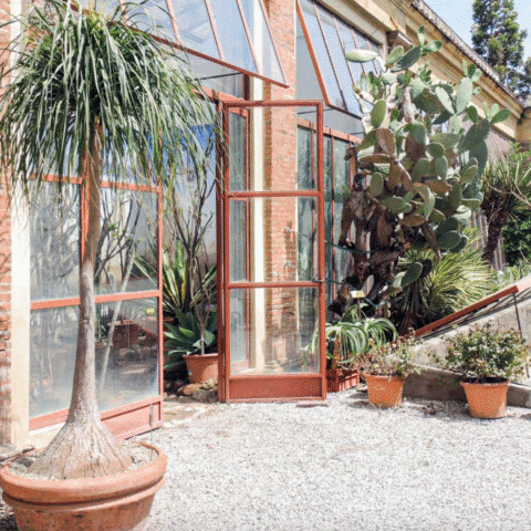 Orto Botanico di Lucca / Botanical Garden of Lucca