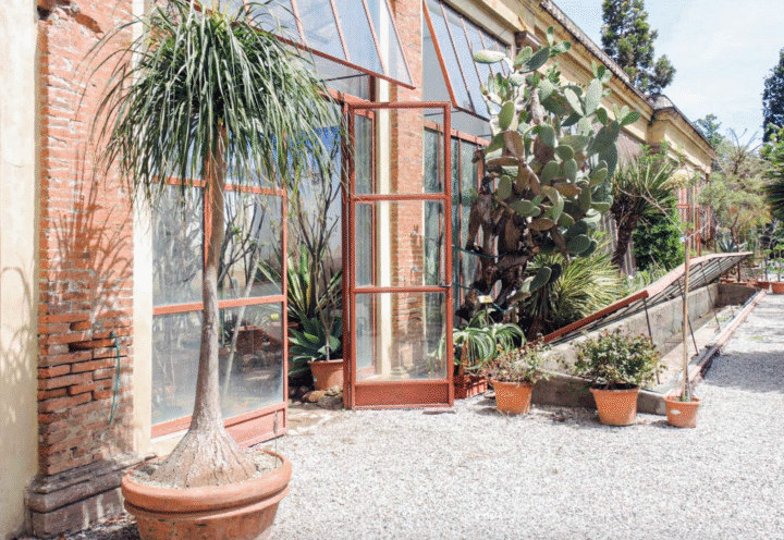 Orto Botanico di Lucca / Botanical Garden of Lucca