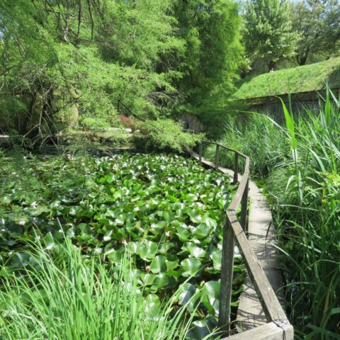 35763178_1306156652853827_5335235957371174912_n