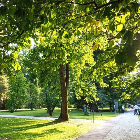 351482163_2291184424397319_9020201729407229464_n