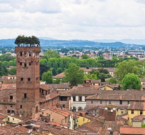 La torre / The tower