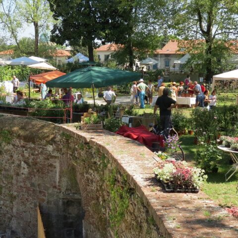 1072228_480018385425563_1995419978_o