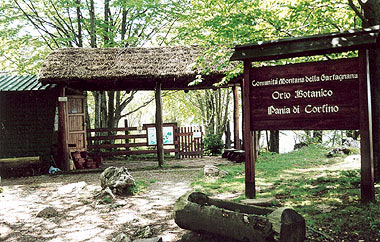 Villa Collemandina, ingresso