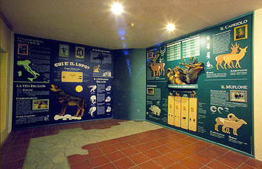 San Romano Garfagnana, sala espositiva, pannelli illustrativi sugli animali del parco