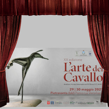 L'Arte del Cavallo / L'Arte del Cavallo