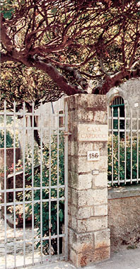 Pietrasanta, ingresso