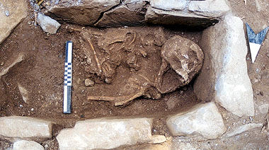 Capannori, una delle tombe della necropoli di Vorno in corso di scavo