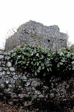Pieve Fosciana, Terra Murata e Torre