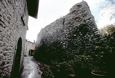 Pieve Fosciana, Terra Murata e Torre