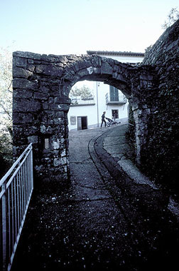 Gallicano, tratto di mura