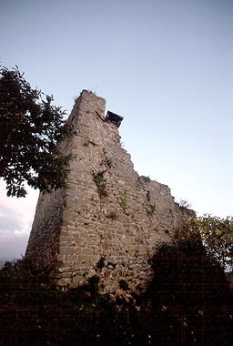 Barga, Torre
