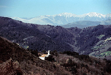 Territorio di Lucca / The territory of Lucca