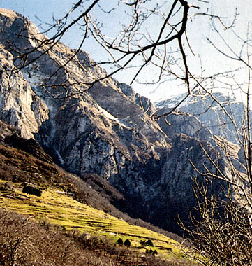 Necropoli ligure di Levigliani / Ligurian necropolis of Levigliani