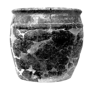 Tomba Etrusca di Villa Mansi / Etruscan tomb of Villa Mansi