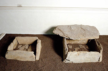 Necropoli di Vado / Necropolis of Vado