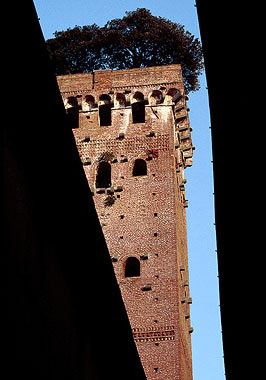 Lucca, Torre Guinigi