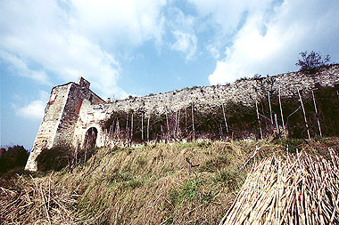Pietrasanta, Rocca di Sala