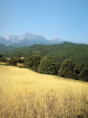 I Liguri Apuani / The Apuan Ligurians