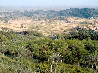 Lucca Romana / Roman Lucca