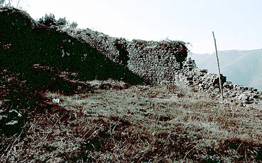 La colonia romana di Luni / The Roman colony of Luni