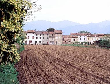 L'uomo e il territorio tra Apuane, Versilia e Piana / Man and his territory between the Apuan Alps, Versilia and the Plain