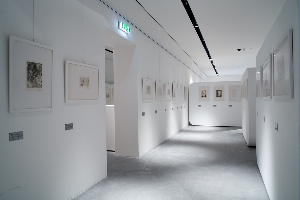 Una veduta delle sale espositive della GaMC / A view of the exposition of the Gamc