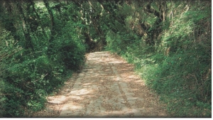 Conferenza “Sulle antiche strade tra la Repubblica di Lucca e il Granducato di Toscana” / Conference "Sulle antiche strade tra la Repubblica di Lucca e il Granducato di Toscana"