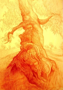 Bruna Nizzola - La danza degli ulivi