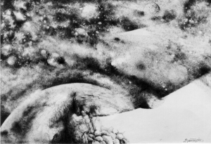 La forma, il segno, e il colore / La forma il segno il colore