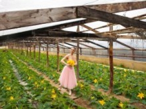 "Danzando" - Mostra fotografica di Franca Giannecchini / "Danzando" - Franca Giannecchini Photo Exhibition