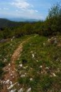 L'Occhio di Lucca e la Linea Gotica - Trekking  / The Eye of Lucca and the Gothic Line - Trekking