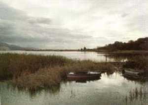 Intorno al Lago di Massaciuccoli / Lake Massaciuccoli walks