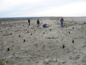 Giornata della Natura - tutti insieme per le dune / Day of Nature - The Dunes