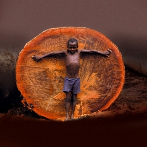 I semi del cambiamento