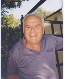 Risorgimento e Unità d’Italia a Pietrasanta e in Versilia. Giornata di studi in onore di Danilo Orlandi / Risorgimento e Unità d'Italia a Pietrasanta