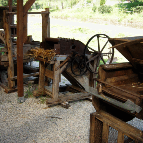 Schermata 2024-02-06 alle 19