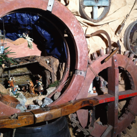 Schermata 2024-02-06 alle 19