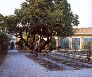 Il canto degli alberi - Concerti all'Orto Botanico / Il canto degli alberi - Concerts at the Botanic Garden