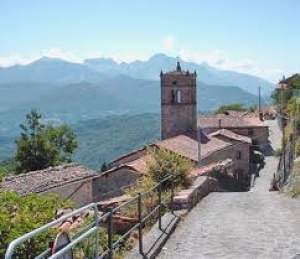 XIV Edizione del Concerto d’organo / 14th Organ Concert