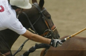 Viareggio Polo Beach Cup 2011