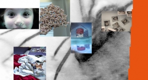 Giornata del Contemporaneo allo Scompiglio / Contemporary Art Day at Scompiglio