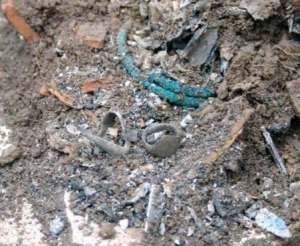 La Fanciulla di Vagli. Il percorso di una ricerca / The Lass of Vagli. The lines of research