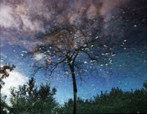 Seravezza Fotografia 2012 - Memorie sovvertite di Romano Cagnoni / Seravezza Fotografia - Upside Memories Roberto Cancogni