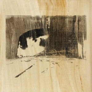 Segni - Jacopo Da San Martino