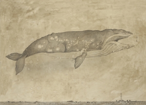 Andrea Collesano - La Chiave, il Sogno e l'Anima