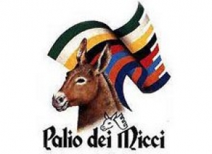 Palio dei Micci