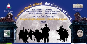 Il Canto Degli Alberi - le note riecheggiano tra i rami. / Tree Songs – the notes resonate up through the branches.